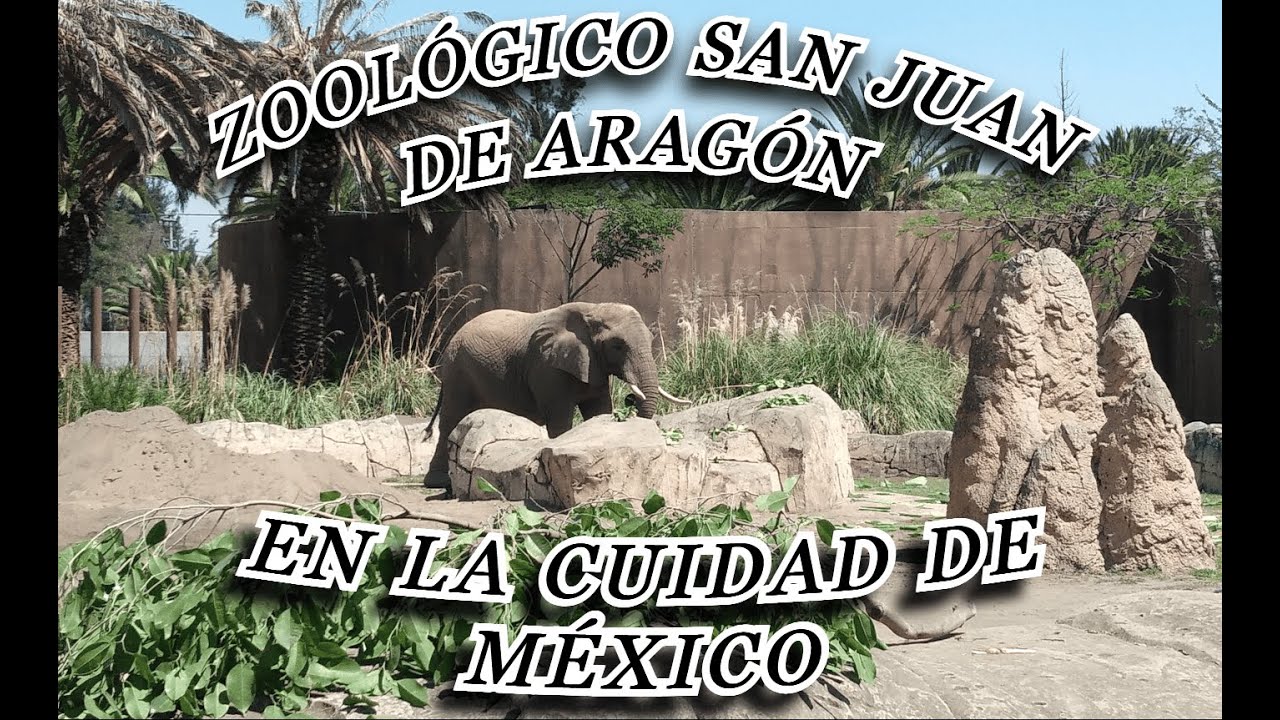 ZOOLÓGICO SAN JUAN DE ARAGÓN