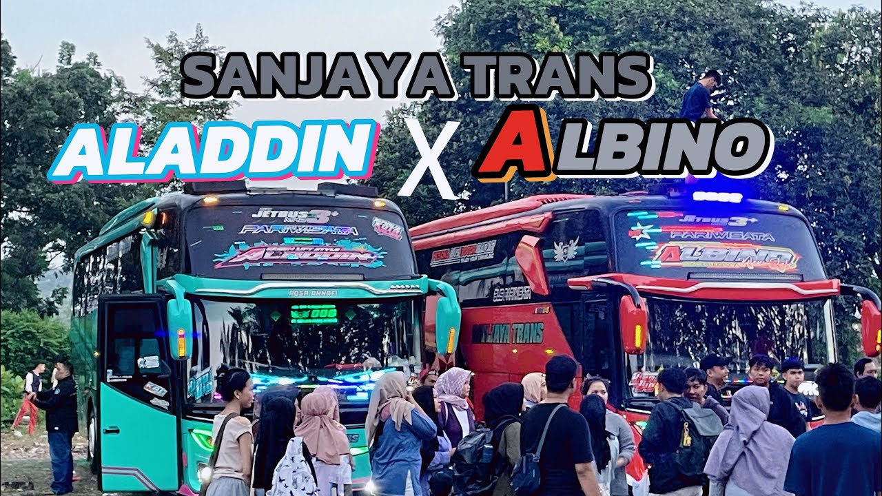 SANJAYA TRANS 🔴 ALADDIN X ALBINO 