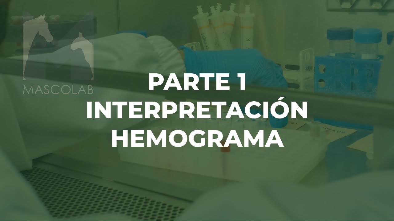 Interpretación Hemograma – Serie Roja  / GUÍA DE DIAGNÓSTICO DE LABORATORIO VETERINARIO.
