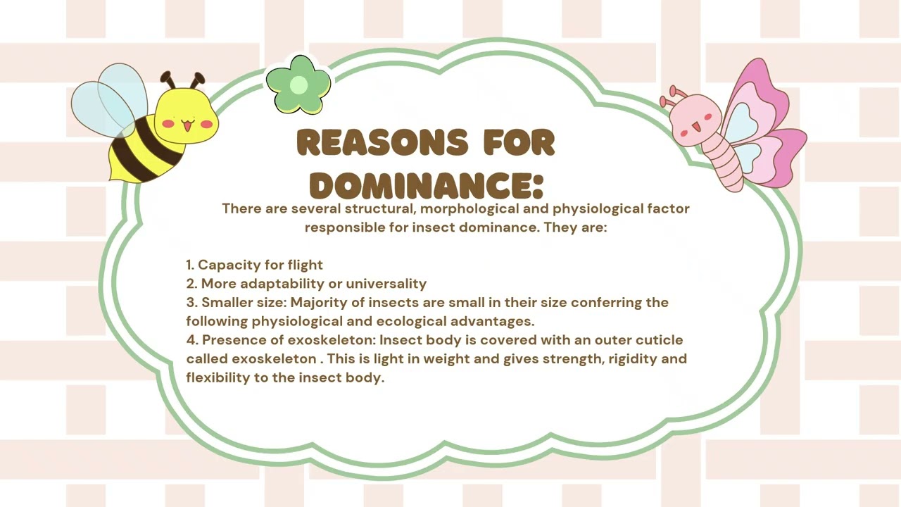Entomology: Insect Dominance | third lecture | HOUSE OF INSECT