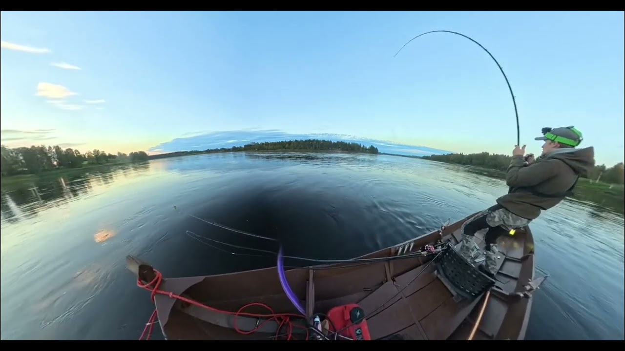 Lohi 2 Tornionjoki 2024