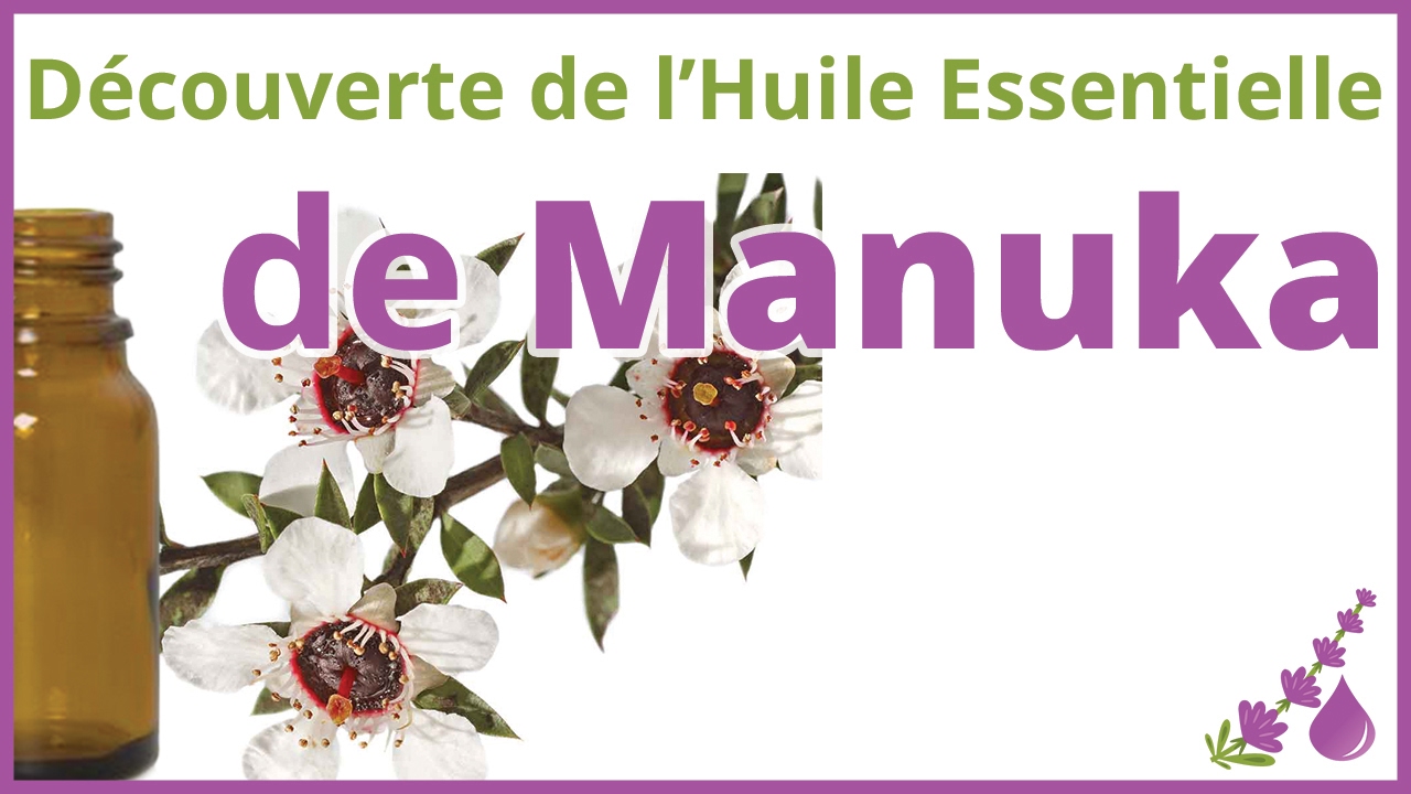 Manuka - L'huile Essentielle de Nouvelle Zélande - Dr Françoise Couic Marinier