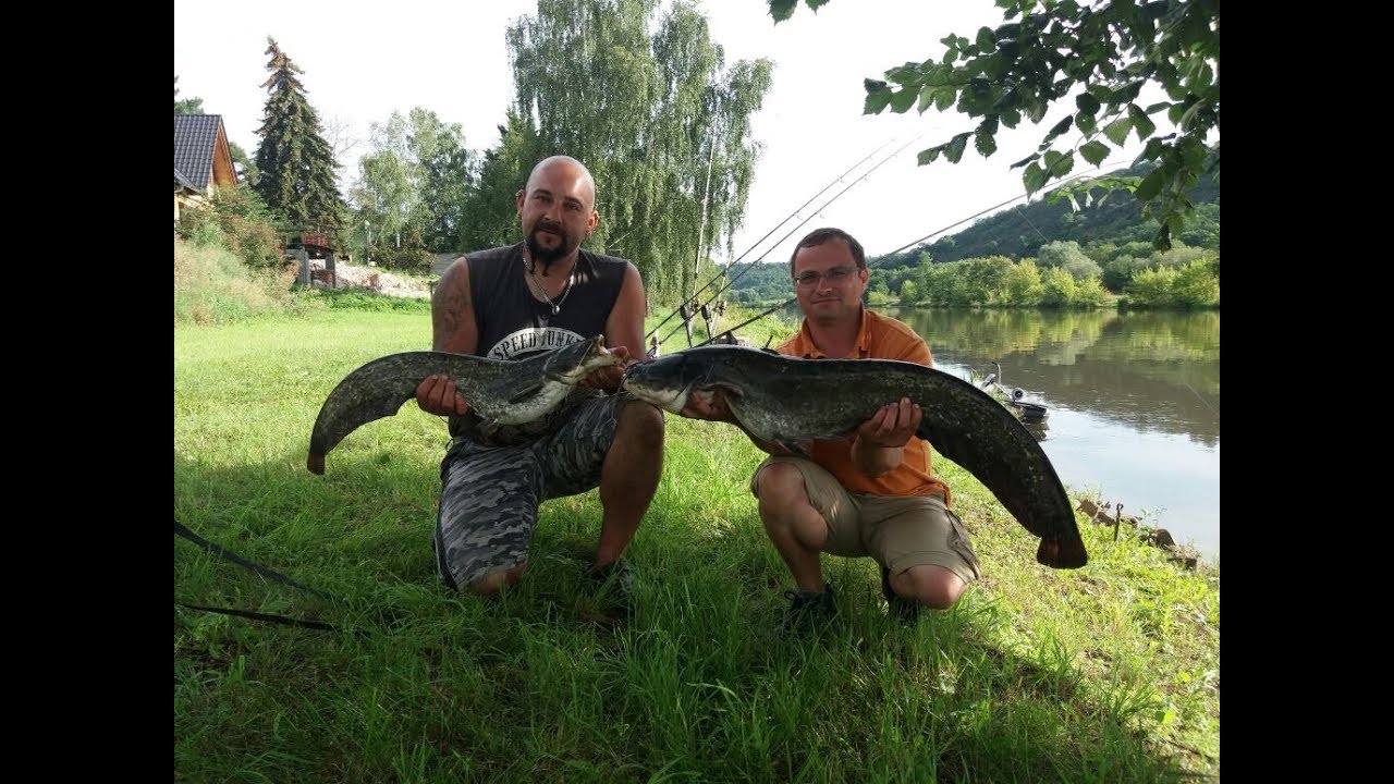 Friedeburg Saale - Ferienwohnung am Fluss - Angelurlaub