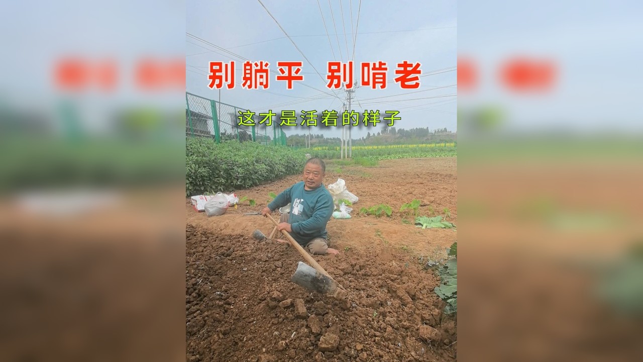 别躺平、别啃老，这才是活着的样子 他没有双腿，却用双手撑起一个家。 挖土、种菜、养儿子，再难也不低头， 再苦也不放弃，不抱怨、不啃老、不躺平。 比起他，我们四肢健全， 还有什么资格喊苦喊累？