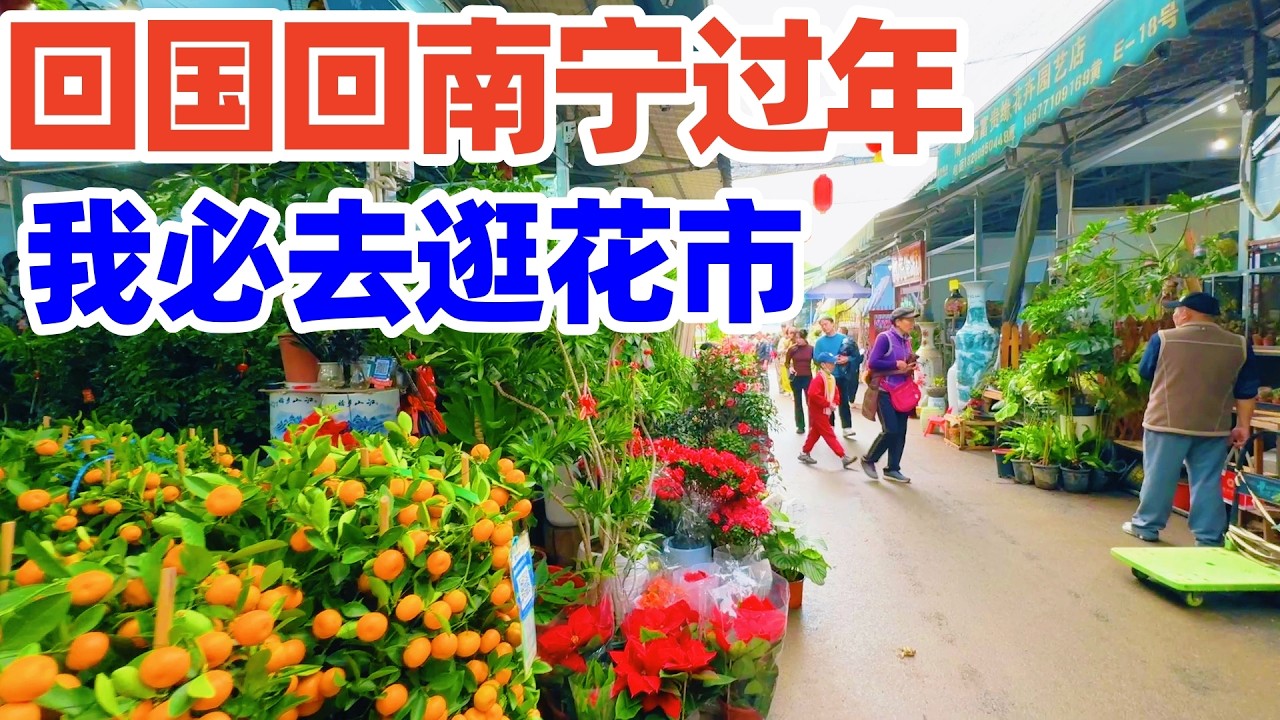 【回国旅居南宁】逛花市是南宁人的过年传统! 春节前走进广西最大的花鸟交易市场! 南宁春节花市! 南宁花市! 南宁! 南宁旅游! nanning guangxi 南宁旅行