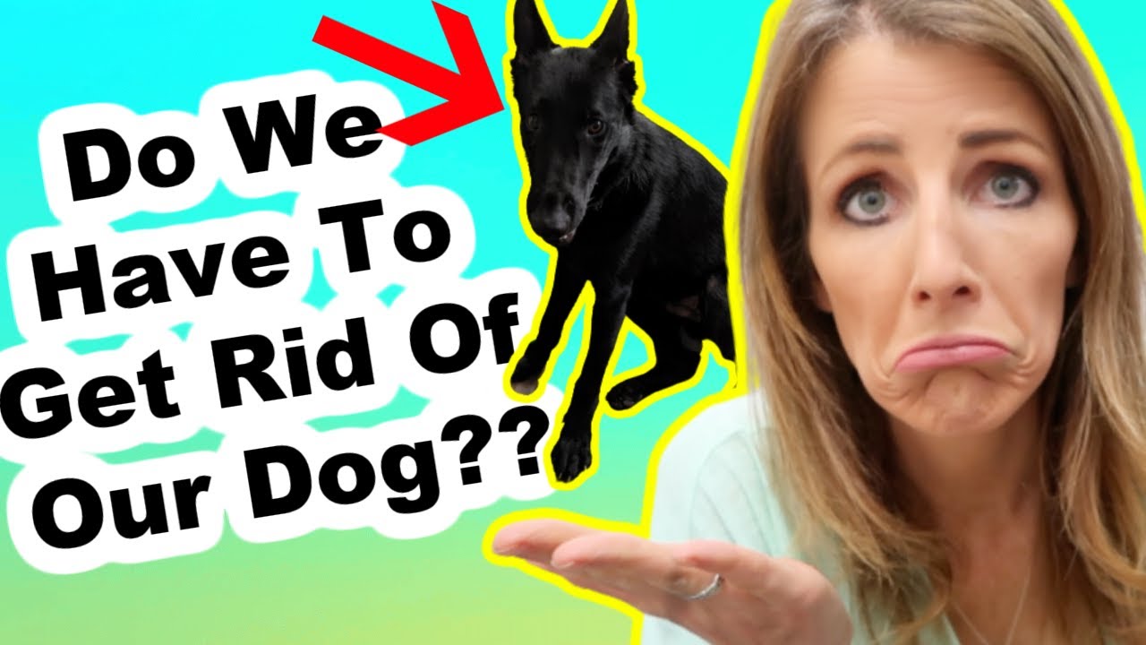 Can We Keep Our Dog?