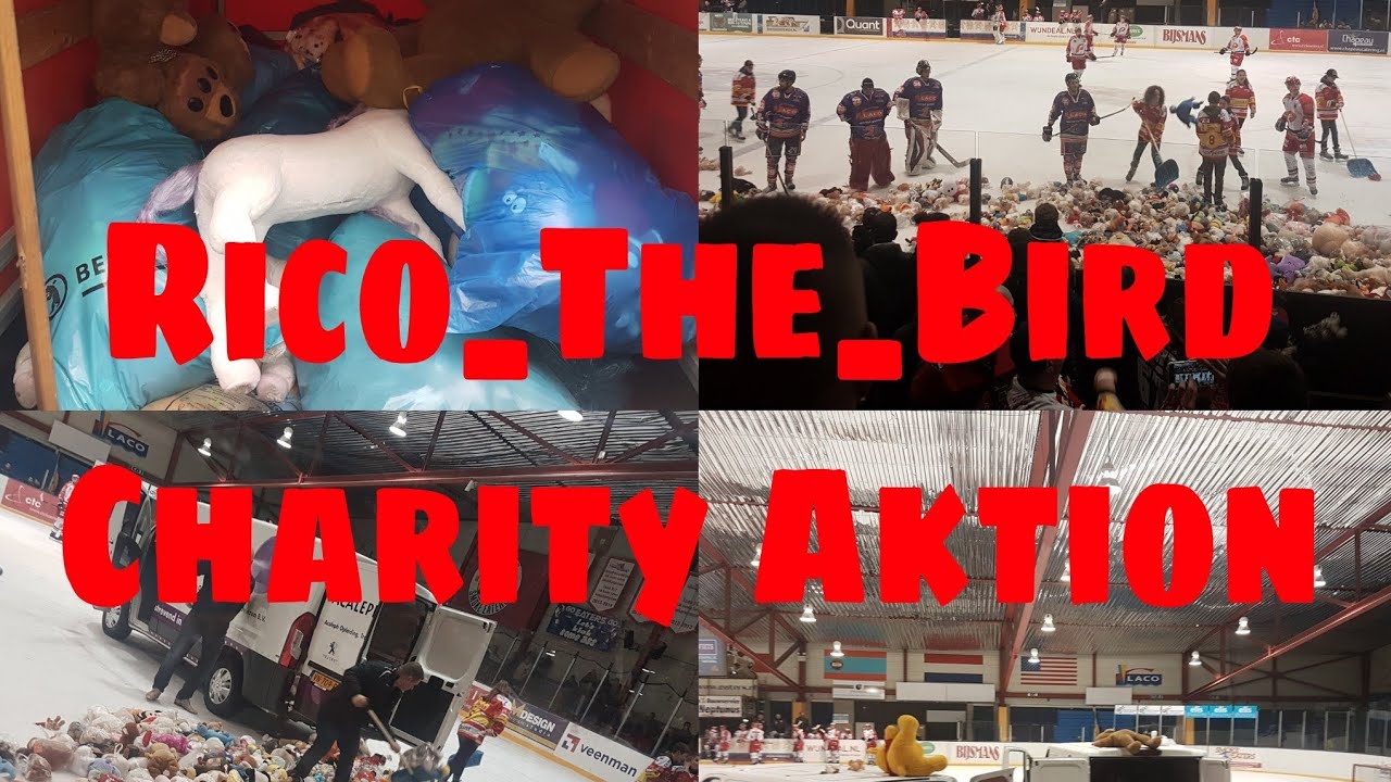 Teddy bear Toss 2016 Rückblick + Charity Aktion Ankündigung