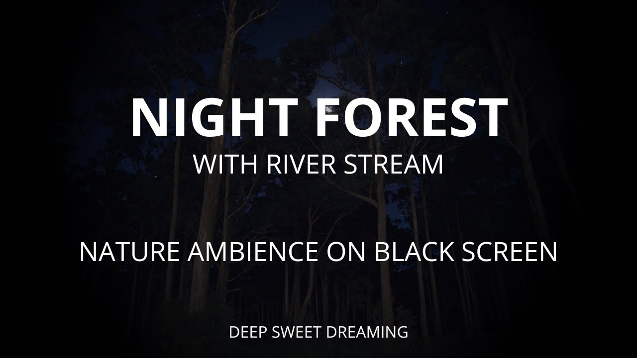 Soothing NIGHT FOREST Sounds - 8 Hours of Nature Ambience - For Relaxing, Sleeping, ASMR