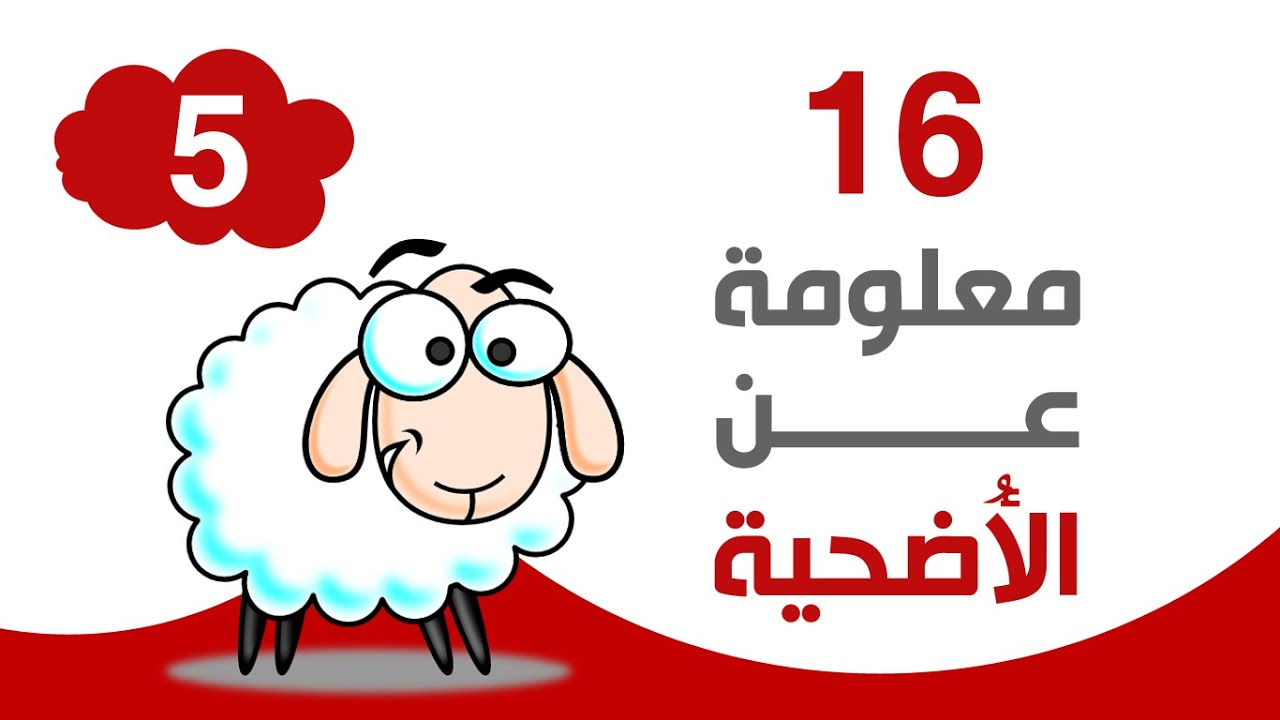 برنامج 160 | الحلقة الخامسة 16 معلومة عن الأضحية