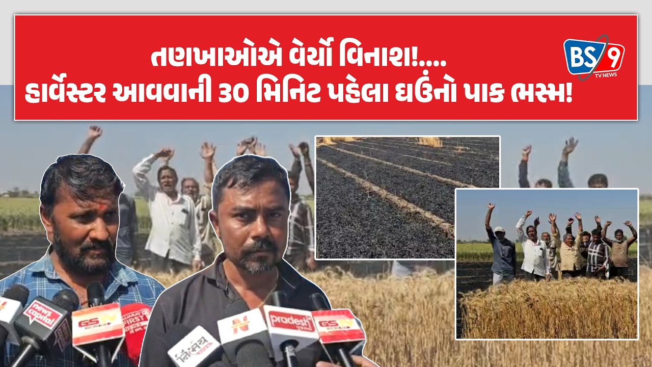 Jetpur | મેવાસામાં અન્નદાતાનો કોળિયો છીનવાયો: PGVCLની બેદરકારીએ 14 વીઘાના ઘઉં ખાખ | BS9 TV NEWS