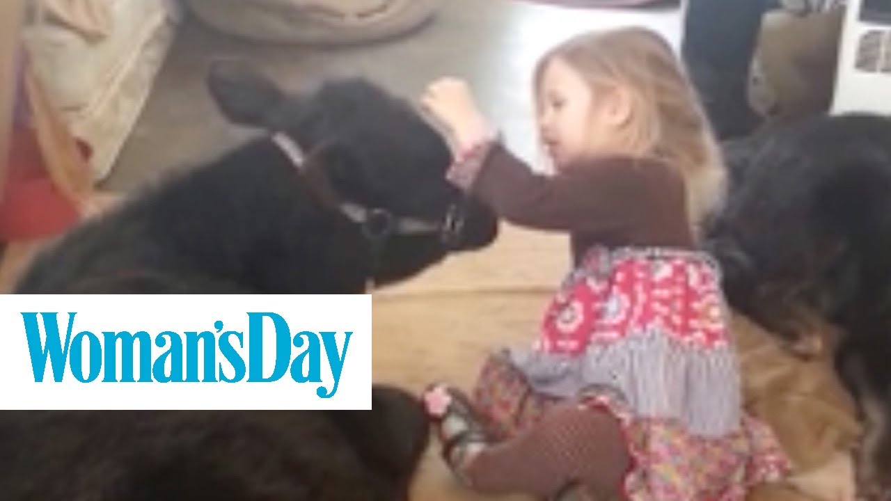 This Little Girl Brought a Cow Into Her House | Woman's Day