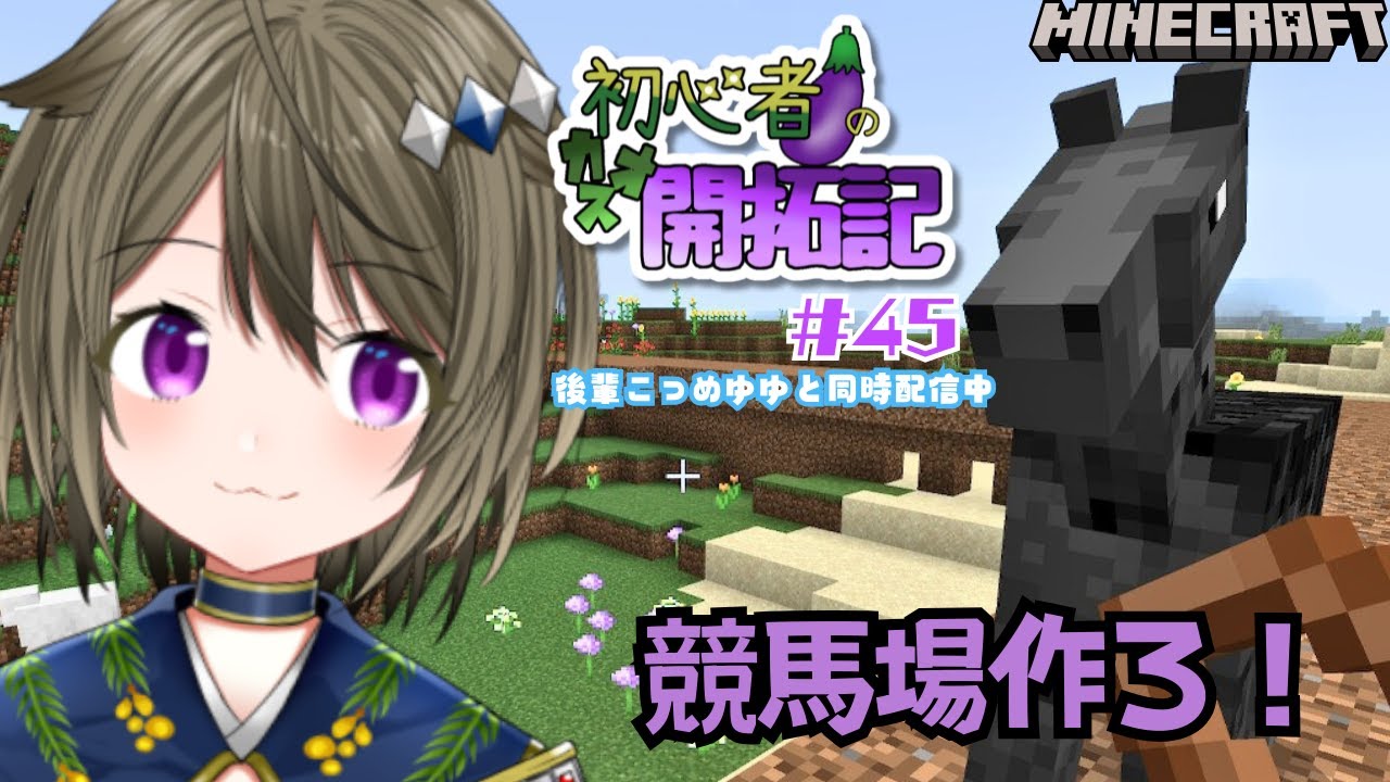 【マイクラ】初心者🍆のカオス開拓記（保護者付き）#45