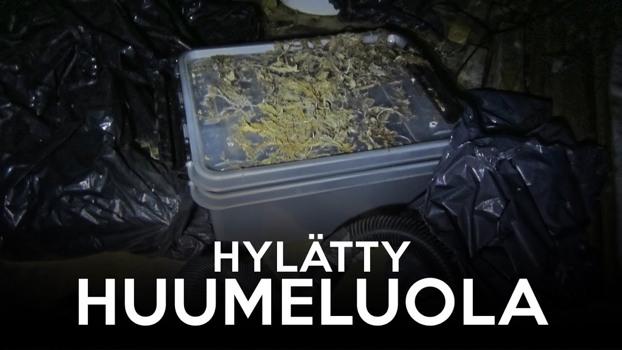 Hylätty huumeluola Espoossa