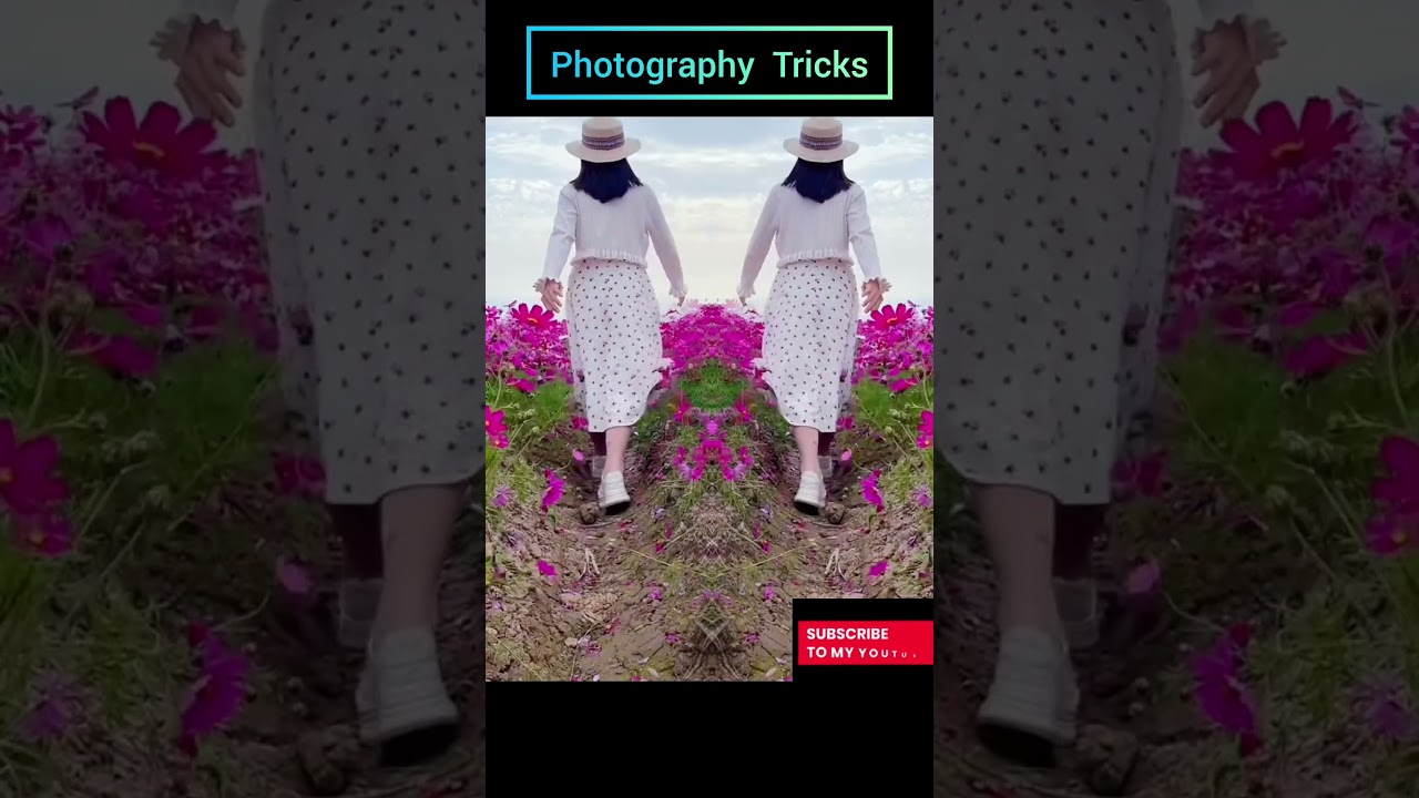 #Photography