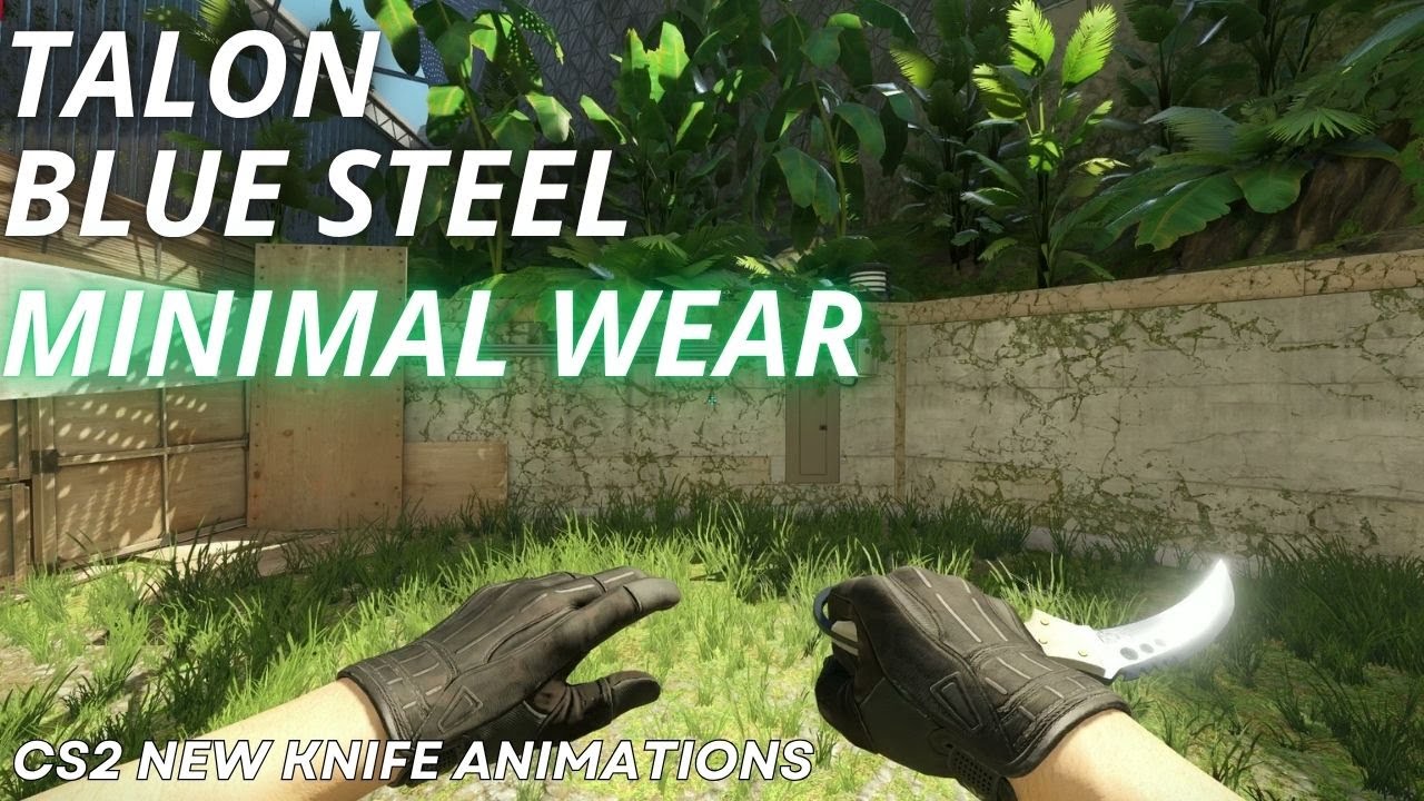 Talon Knife Blue Steel (Minimal Wear) | CS2 Skin Showcase with NEW Animation