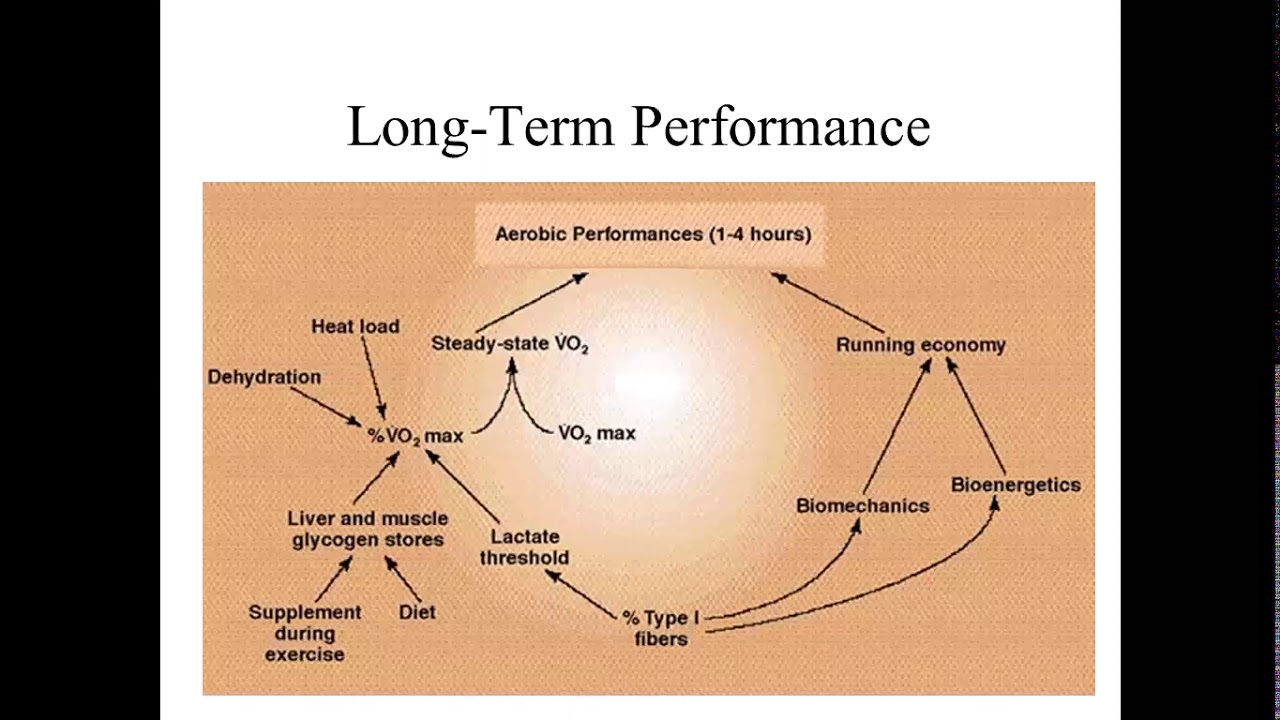 Exercise Physiology || Lec || Factor affecting || Performance part 3 || Dr Nida Akbar || urdu || CMT