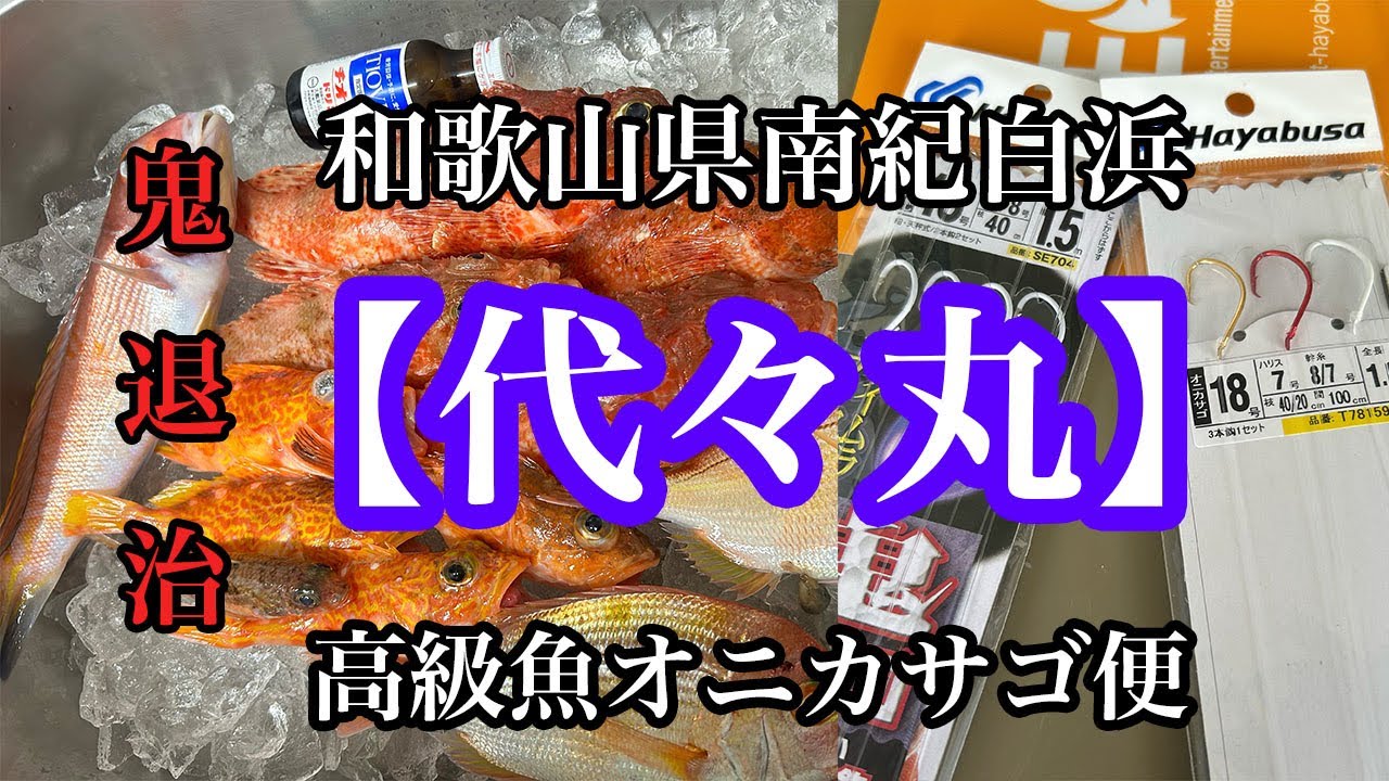 👹中深海の鬼退治【代々丸/南紀白浜】オニカサゴ便