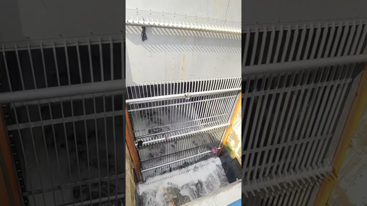 Automatic Trash Rake