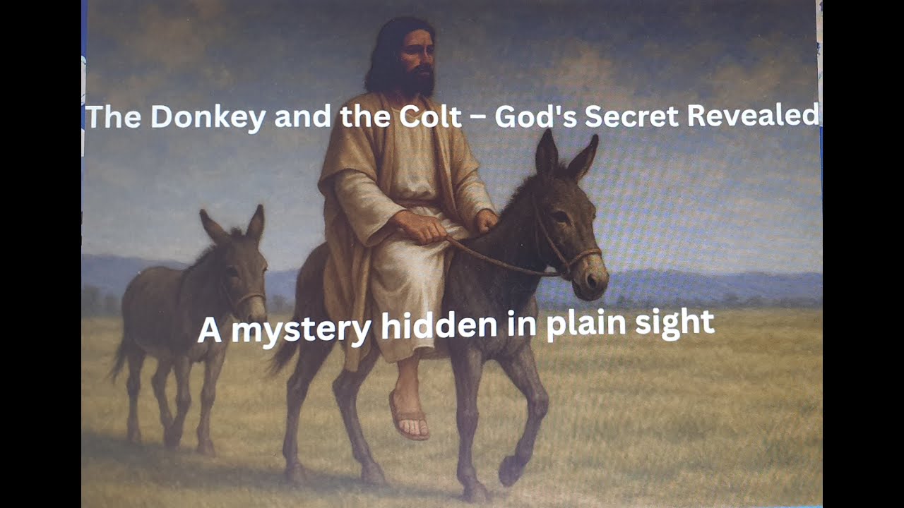 The Donkey and the Colt - the significance of Jesus riding on a Donkey and a Colt into Jerusalem
