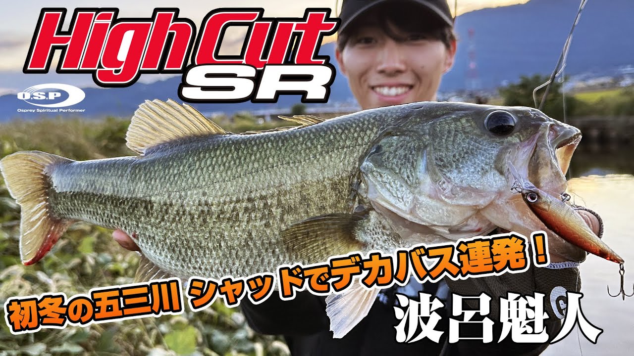 【ハイカットSR】シャッドでデカバス連発！初冬の五三川攻略【波呂魁人】