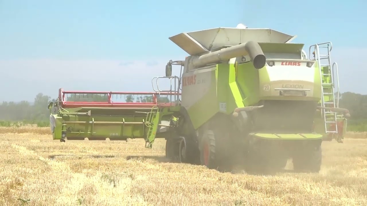 Zemlja izvor života - Žetva pšenica sa šest kombajna na poljima kod Dervente - 18.7.2022.