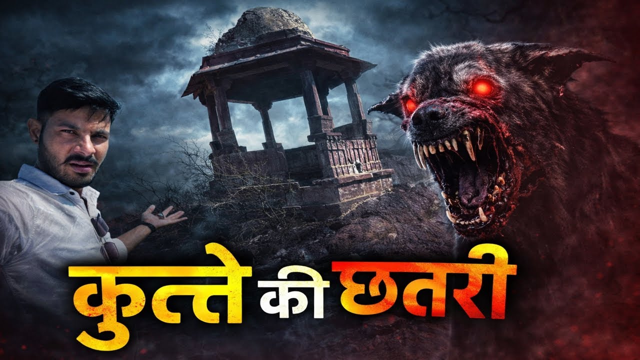 Jodhpur... कुत्ते की मौत के बाद एक पहाड़ी पर छतरी का राज? जैसलमेर-जोधपुर हाईवे पर एक खौफनाक कदम.....