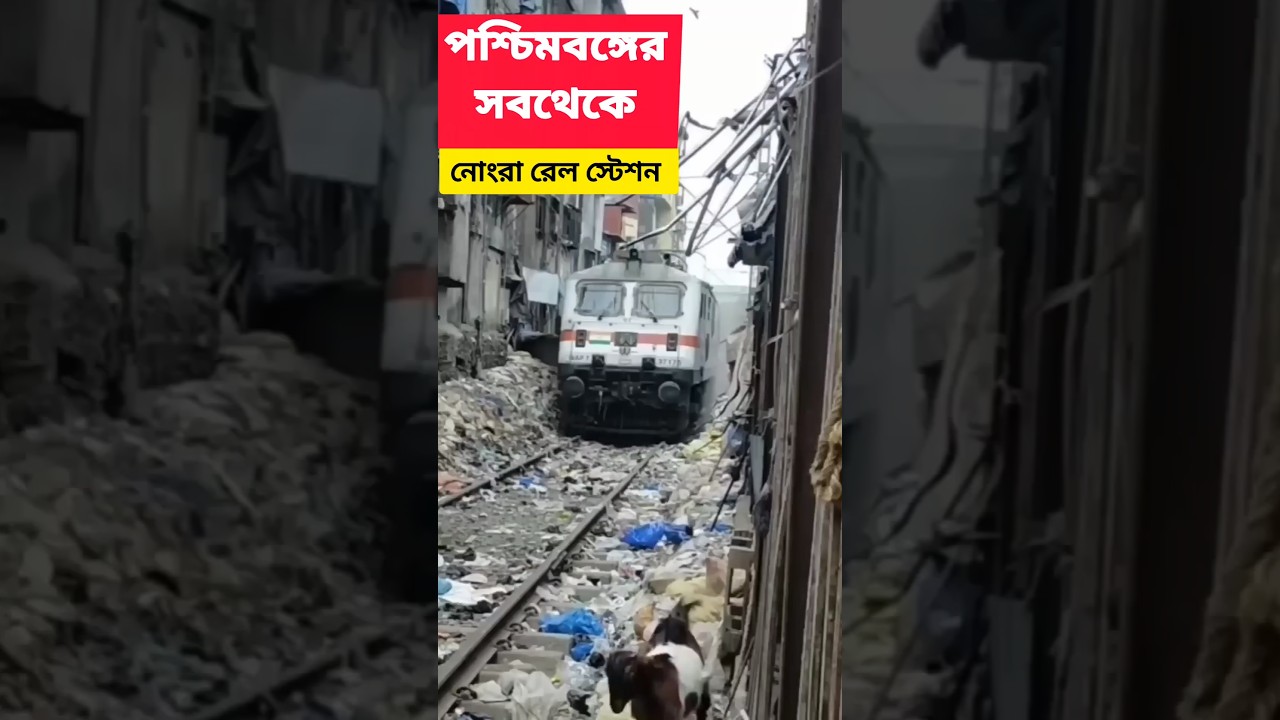 🤮পশ্চিমবঙ্গের সবথেকে নোংরা Railway Station 🤧 | Park Circus Railway Station🚃 Dirtiest railway station