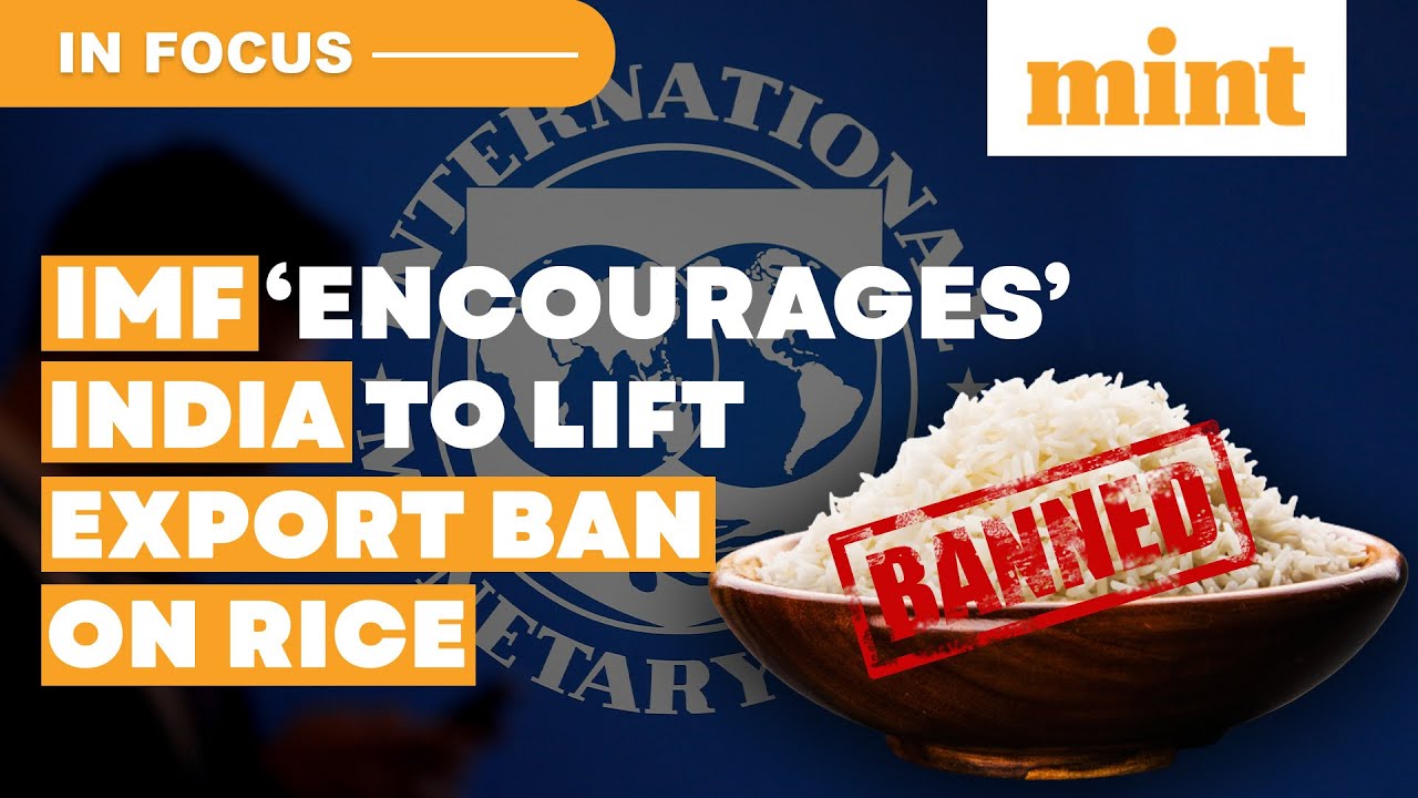 &lsquo;Harmful Globally&hellip;&rsquo;; IMF Wants India To Lift Export Ban On Rice; Should India Oblige? | In Focus