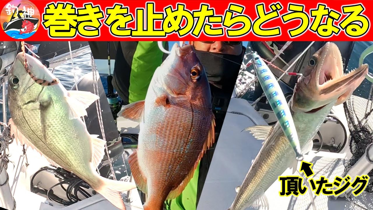 【東京湾】タイラバで当たった瞬間に巻きを止めたら釣れるか試したら・・・