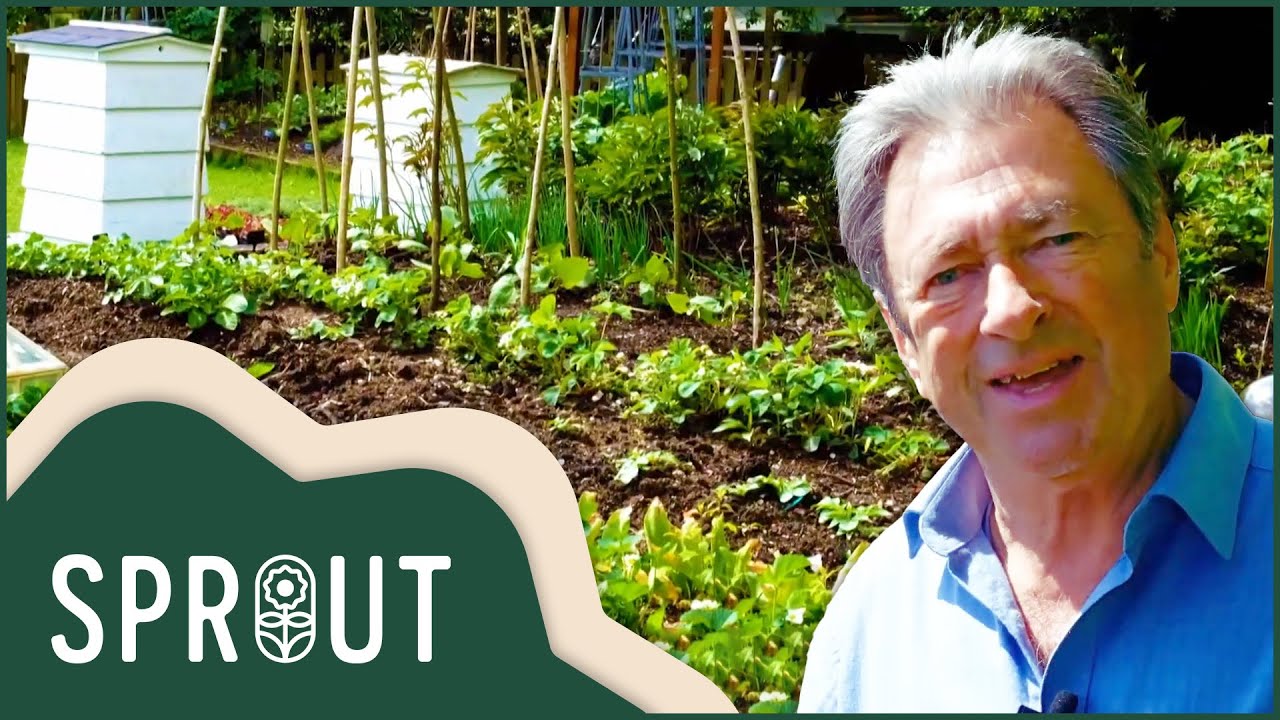 Transform Your Garden with Alan Titchmarsh's Seasonal Veggie Patch Guide | Sprout