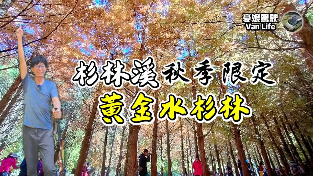 南投杉林溪秋季限定美景【園區必遊六大景點】杉林溪大飯店開箱｜南投旅遊｜Vanlife《憂娘駕駛Outdoor》