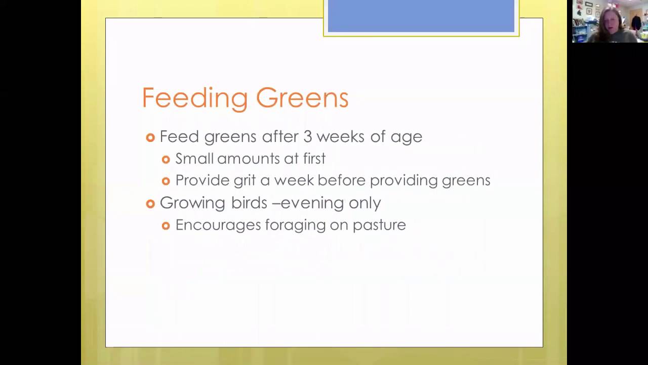 Raising ducks for egg production 2016 webinar