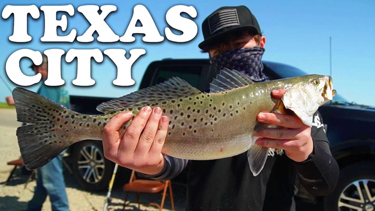 Reality of fishing the Texas City Dike