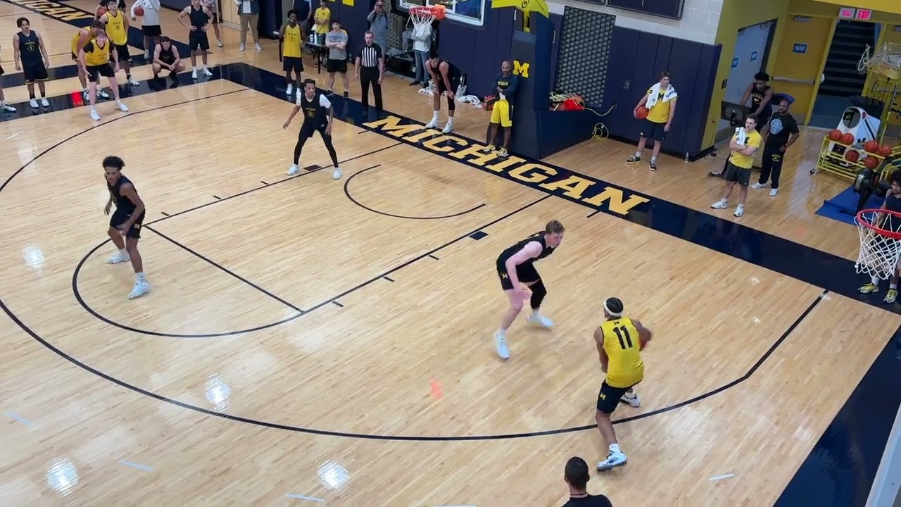 Michigan basketball Pro Day highlights