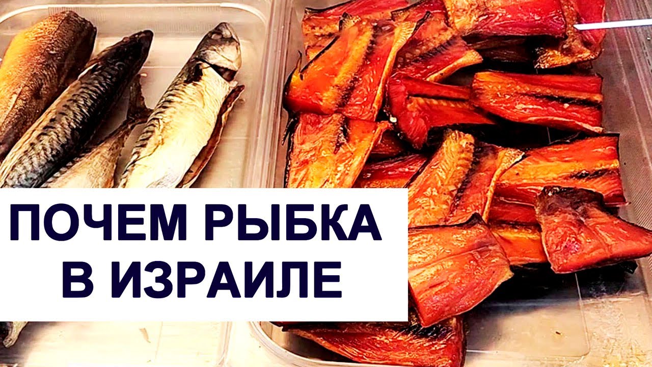РЫБНЫЙ МАГАЗИН 