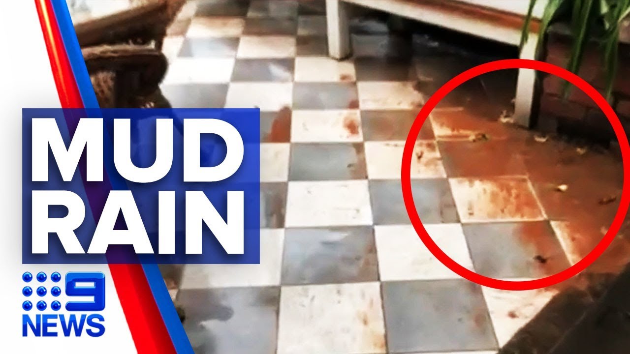 NSW braces for wild weather after dangerous dust storm | Nine News Australia