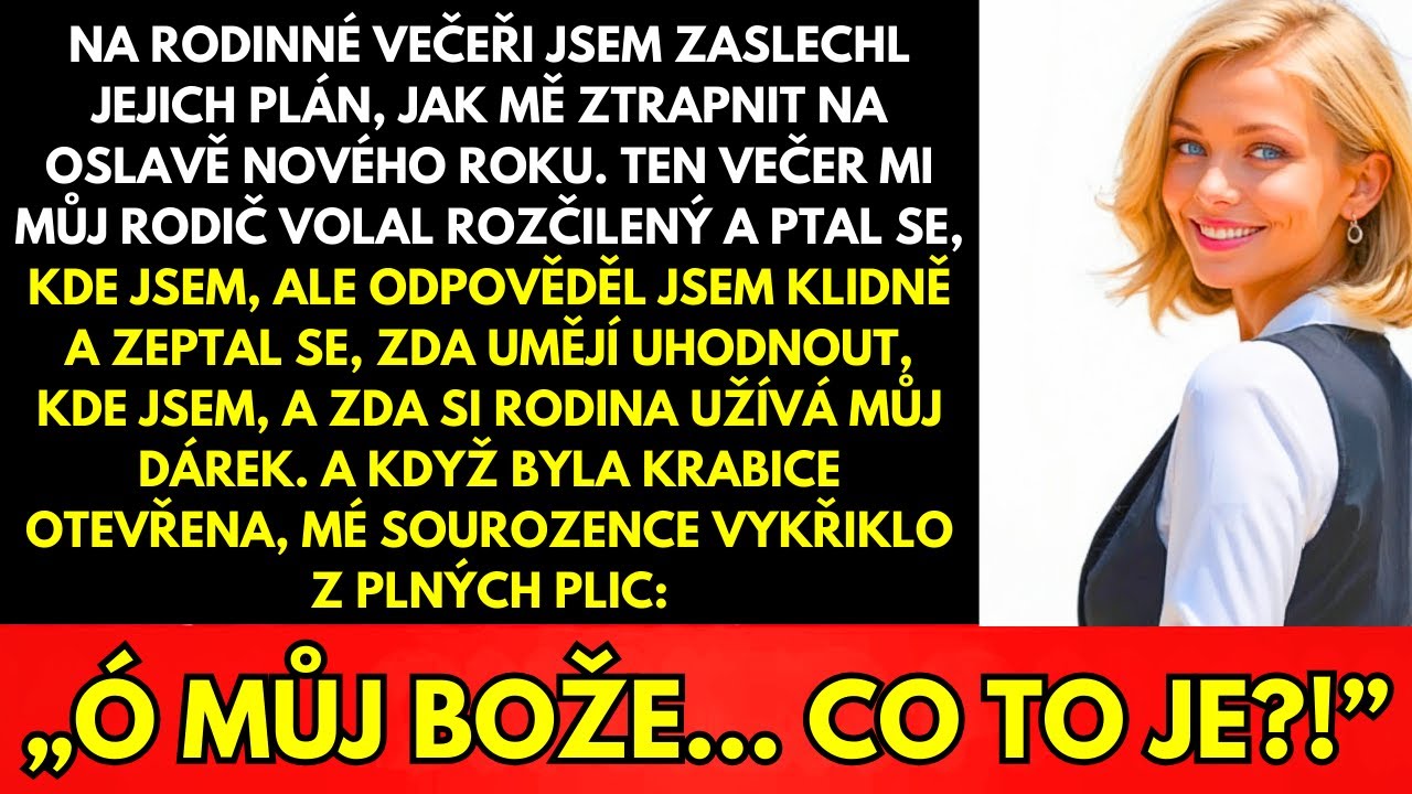 Na Rodinné Večeři Jsem Zaslechla Plán Mě Ponížit Na Novoroční Oslavě—Tak Jsem Jednala