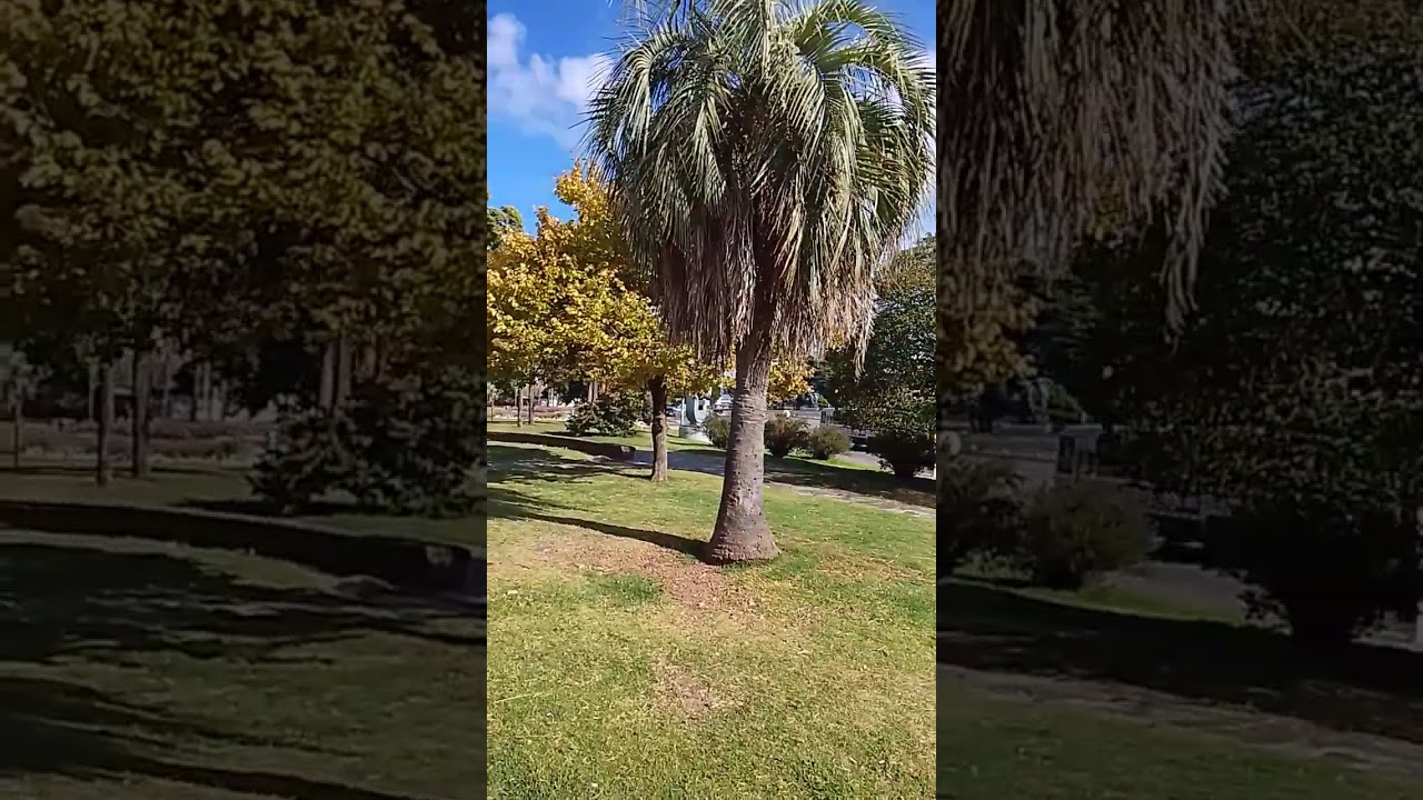 🟥😊هذي هي  تكلفة المعيشة الشهرية هنا في🇺🇾 الاورجواي 💯