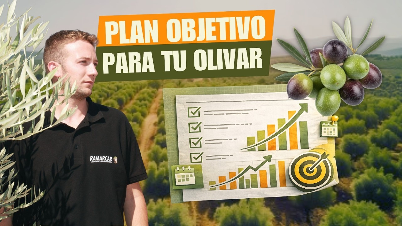 Así Manejo un OLIVAR durante Todo el año 2026 (ni un tratamiento de MÁS, ni uno de MENOS)