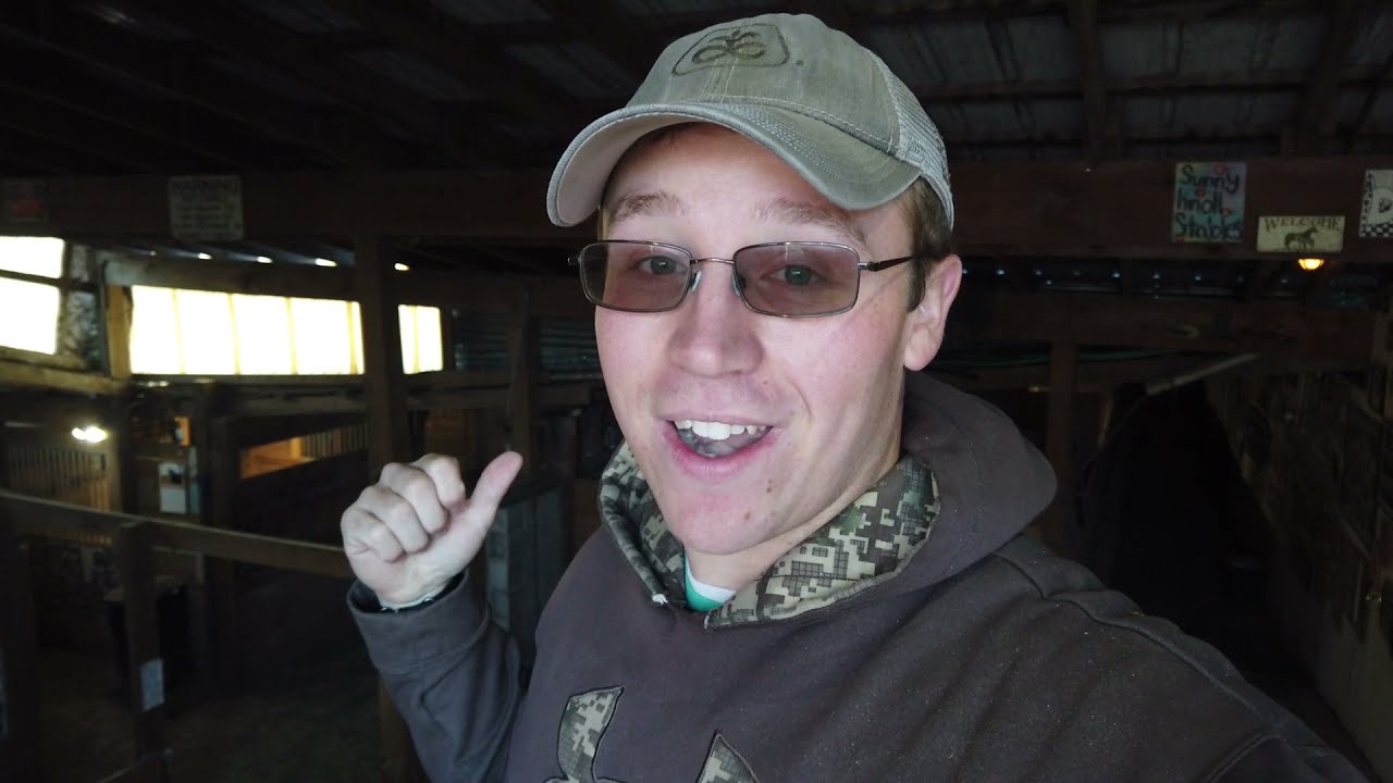 Hay! We Need Hay!