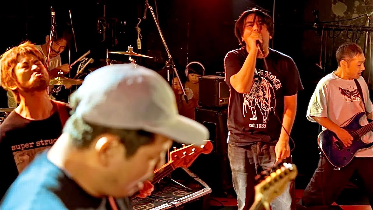 nervous light of sunday - LIVE - 2024-11-10  at Shinjuku ANTIKNOCK, Japan