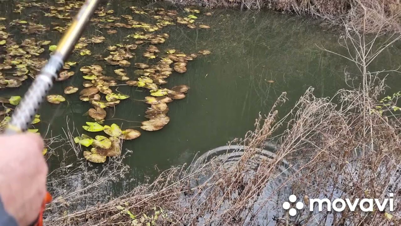 PESCUIT LA PLUTĂ 