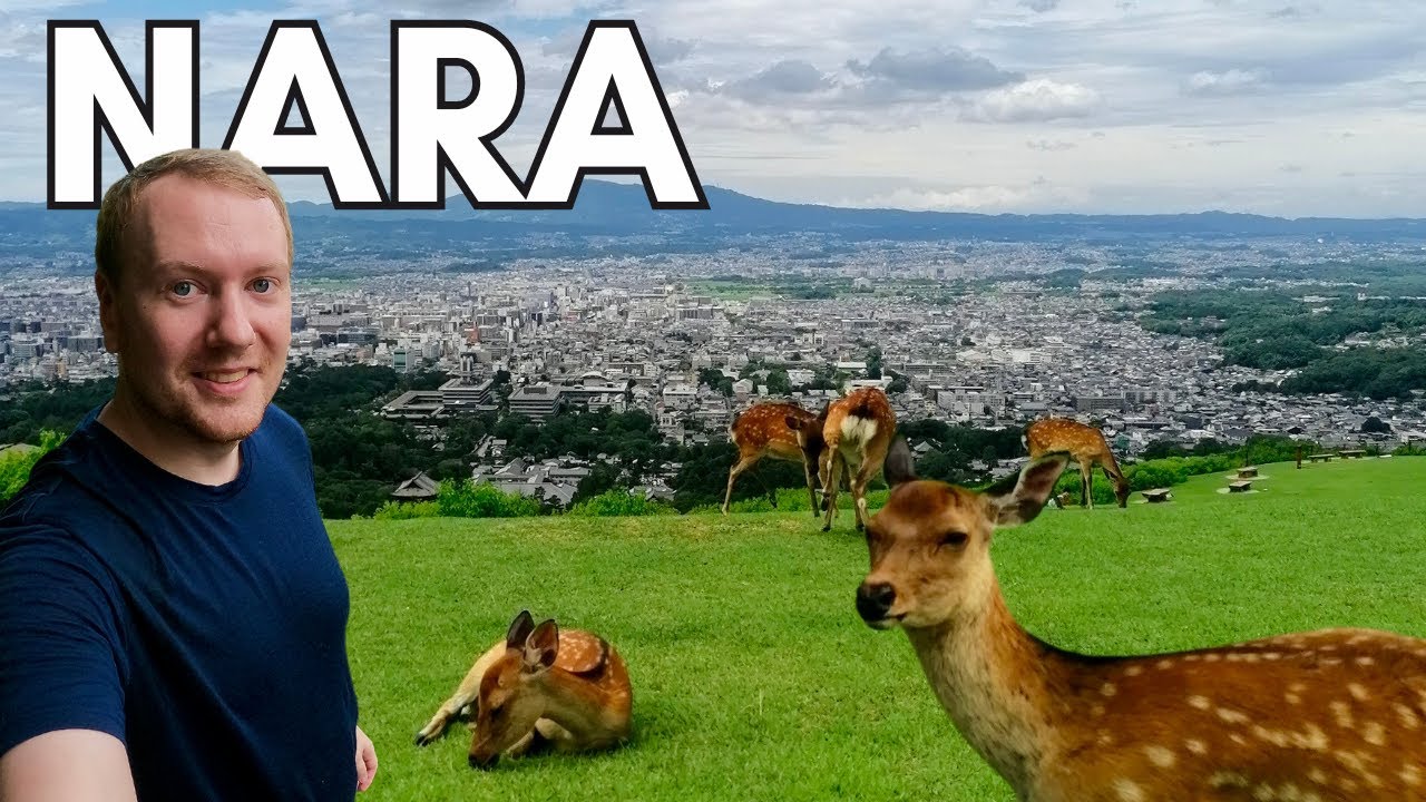 1 Tag in Nara: Zwischen Rentieren und historischen Stätten in Japans ältester Hauptstadt
