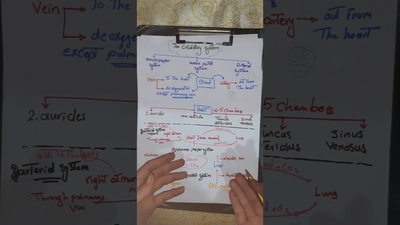 Introduction of the circulatory system of the frog🐸(مقدمة للجهاز الدورى للضفدعة)