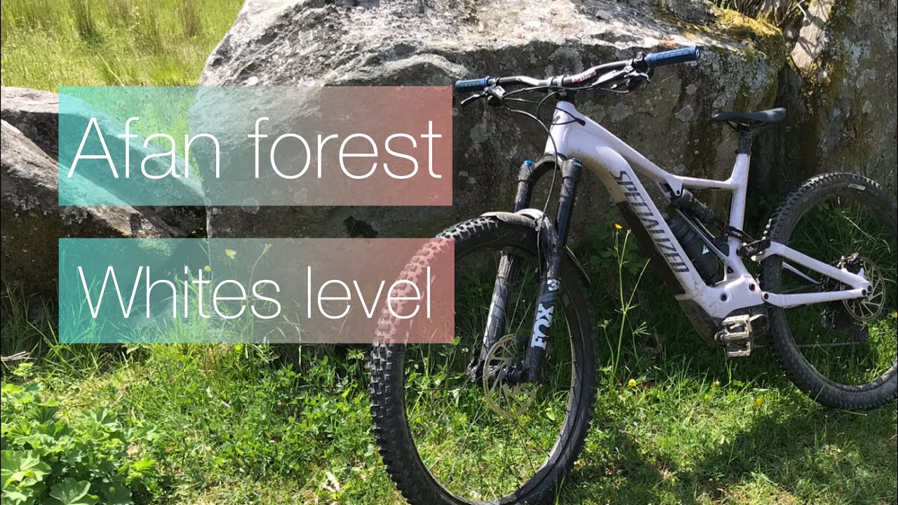 Afan Forest MTB / Whites level