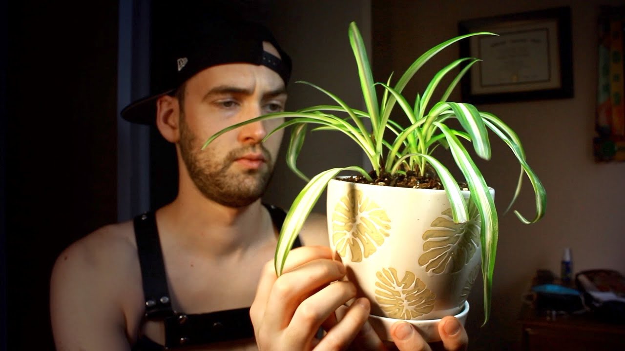 ASMR Leather Plant Daddy