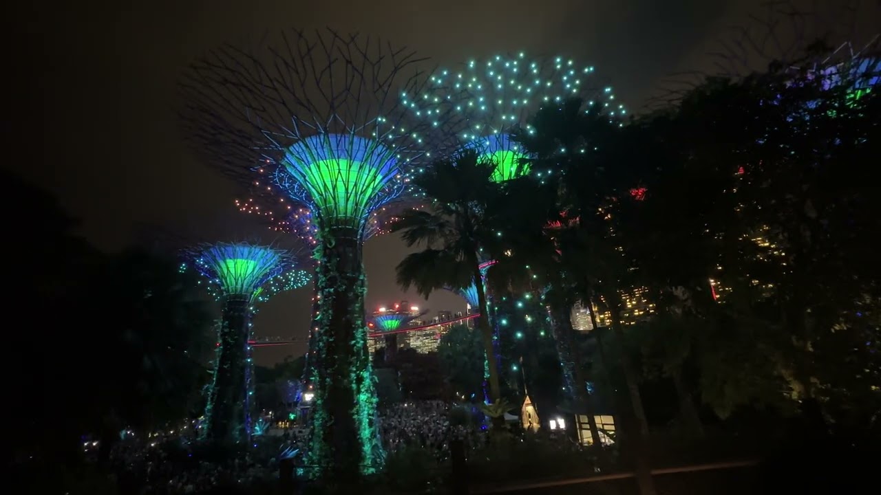 Lighting Tree 🌴 Show in Singapore 🇸🇬 