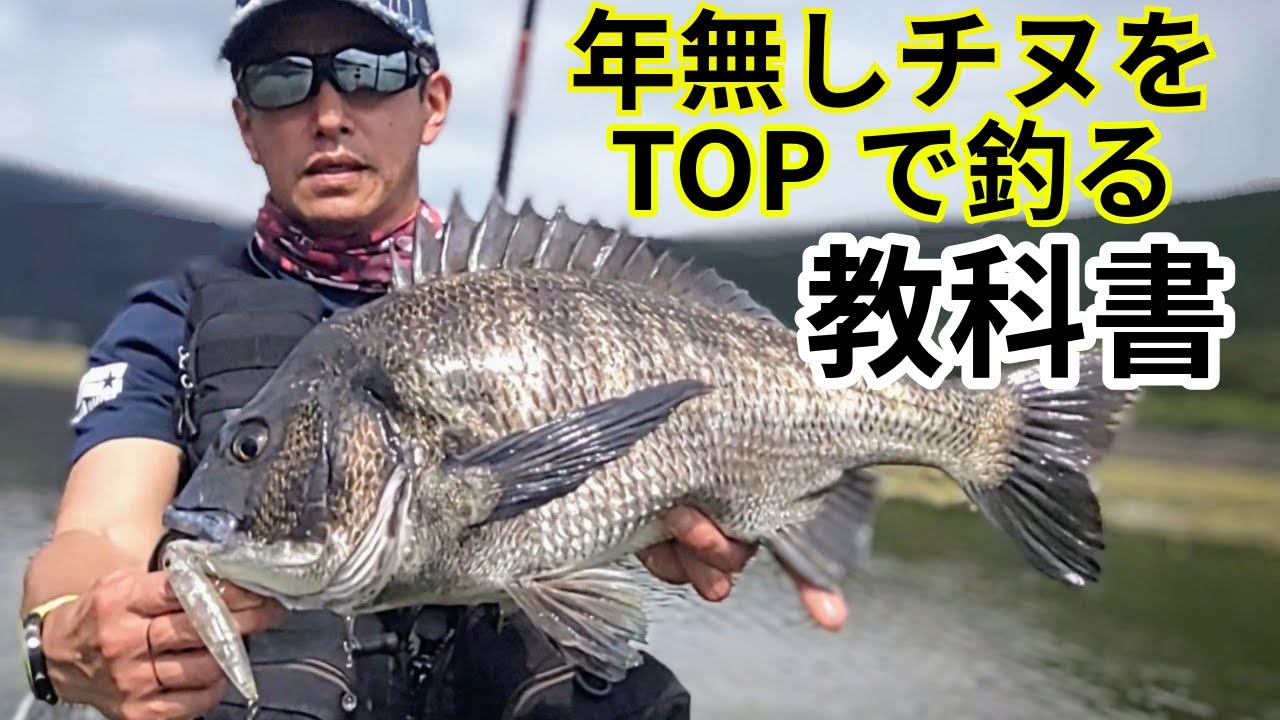 年無しチヌをトップで釣る教科書