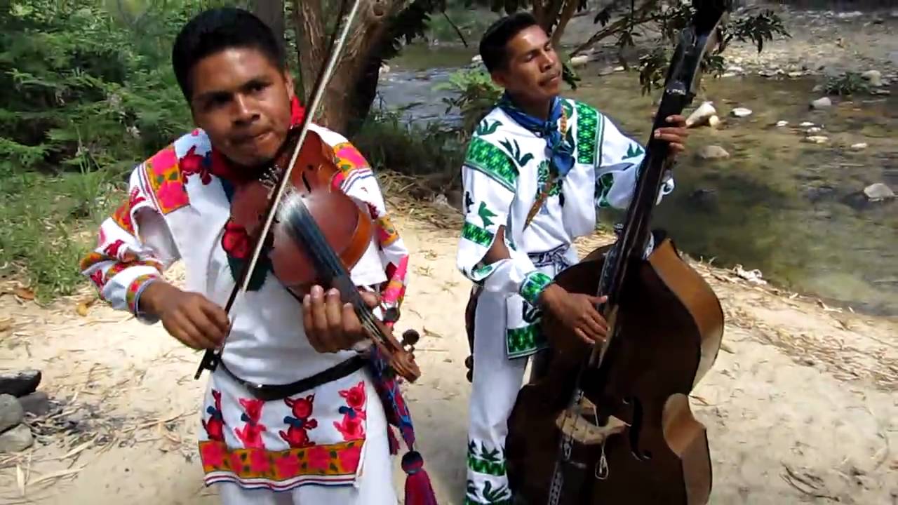 LA ABEJA MIOPE version Huichol CARRILLOS MUSICAL