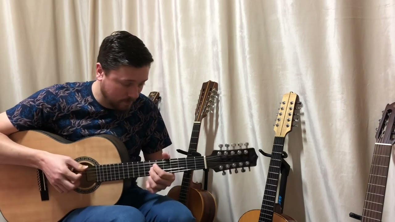 ARARA AZUL (DINO ROCHA) INT. MIZAEL DA VIOLA